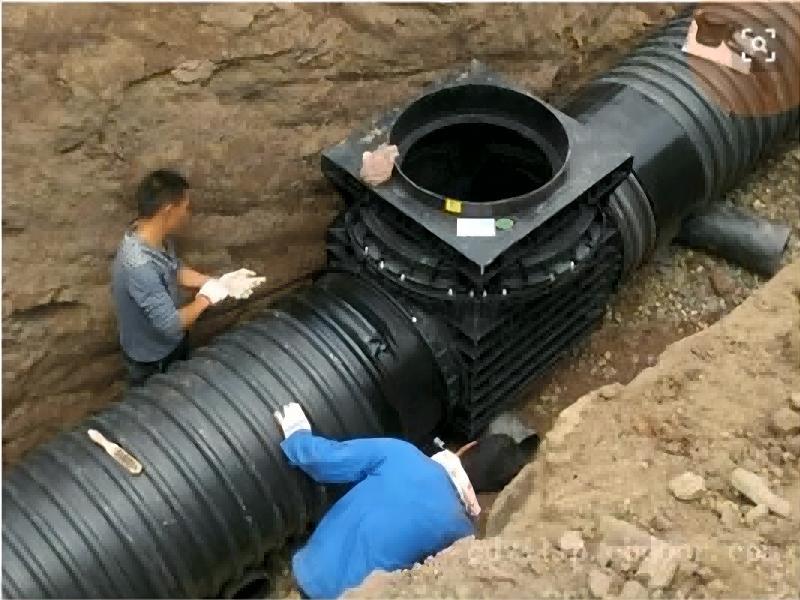 កម្មវិធី ០១