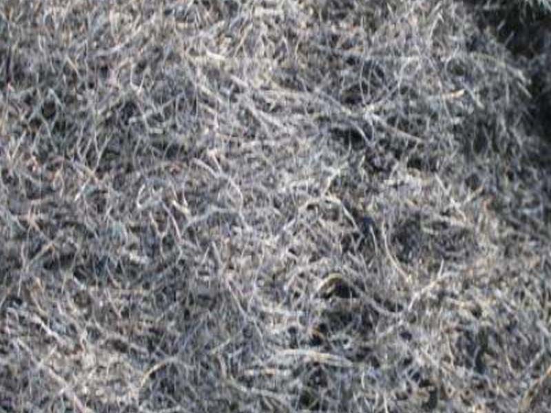 ពាក្យសុំទី ១